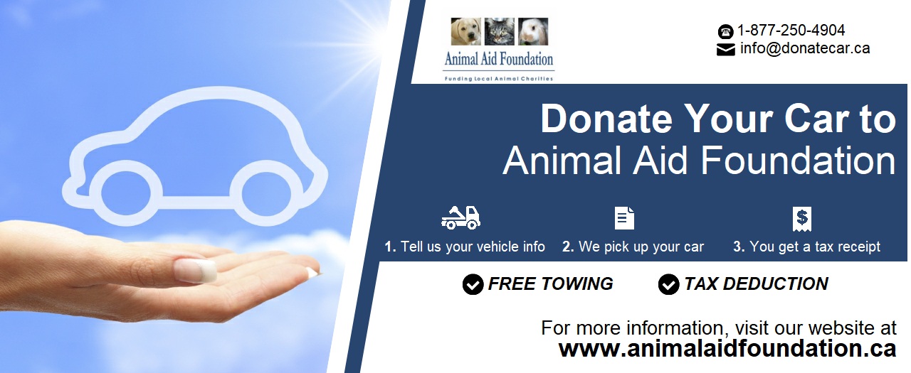 Donate your car to help the animals
